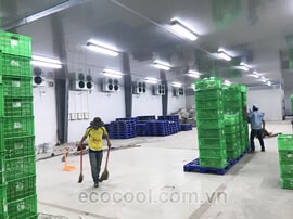 Công trình bảo quản rau sạch Vin Eco